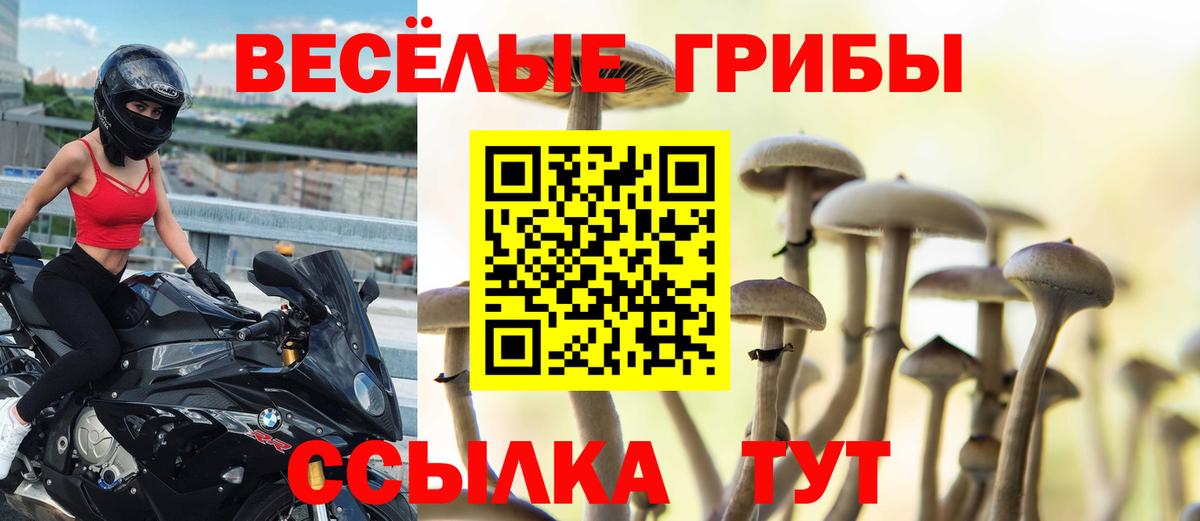 Галлюциногенные грибы Magic Shrooms  купить закладку  Галлюциногенные грибы Psilocybe  Нижневартовск  Вход с VPN 