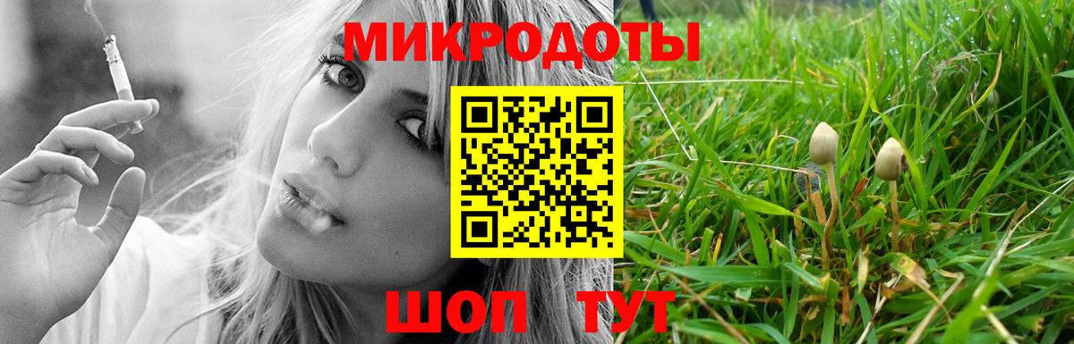 Псилоцибиновые грибы Psilocybe Нижневартовск
